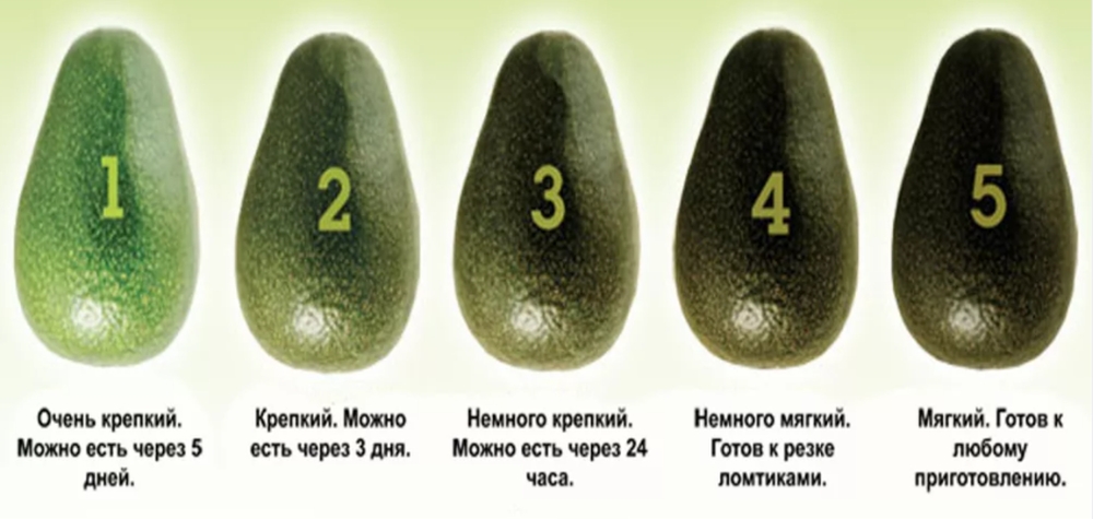 Как правильно выбрать авокадо спелый?