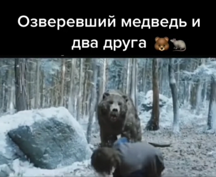 Что за фильм-озверевший медведь и два друга?