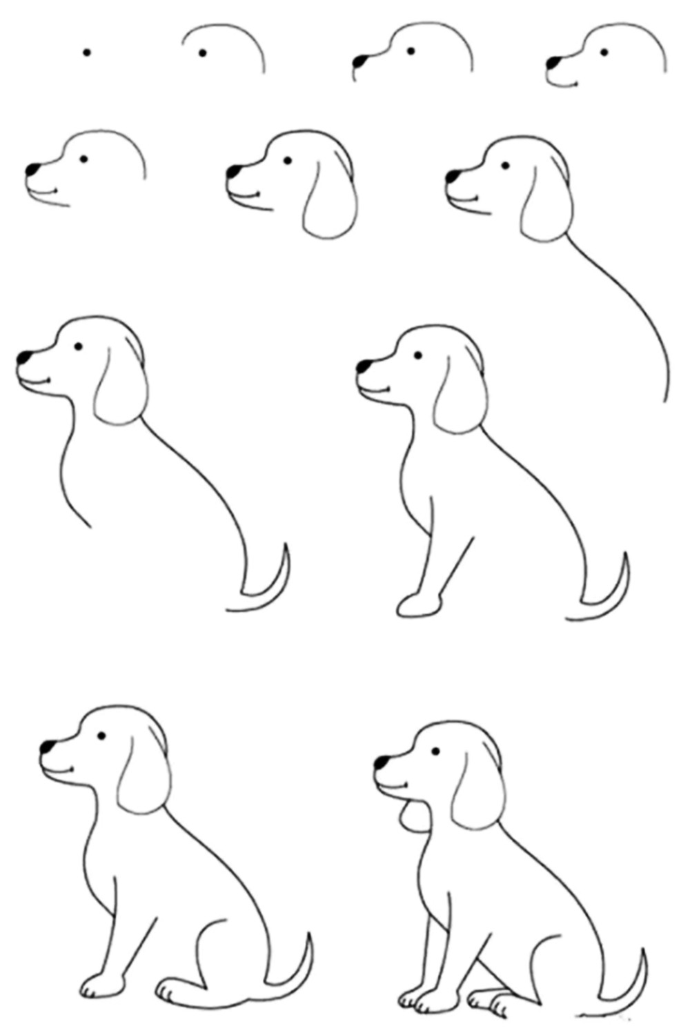 Рисунок собаки для поэтапной срисовки карандашом